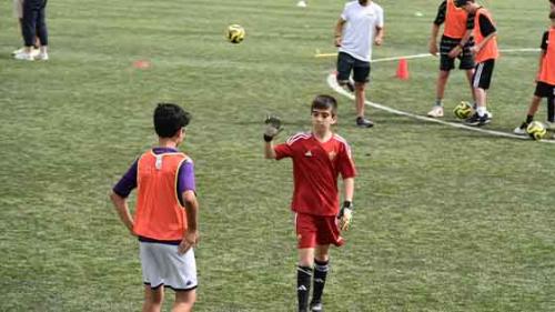 sito 11